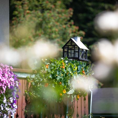 Bed and Breakfast Alpenhof Ramsau am Dachstein Exterior foto