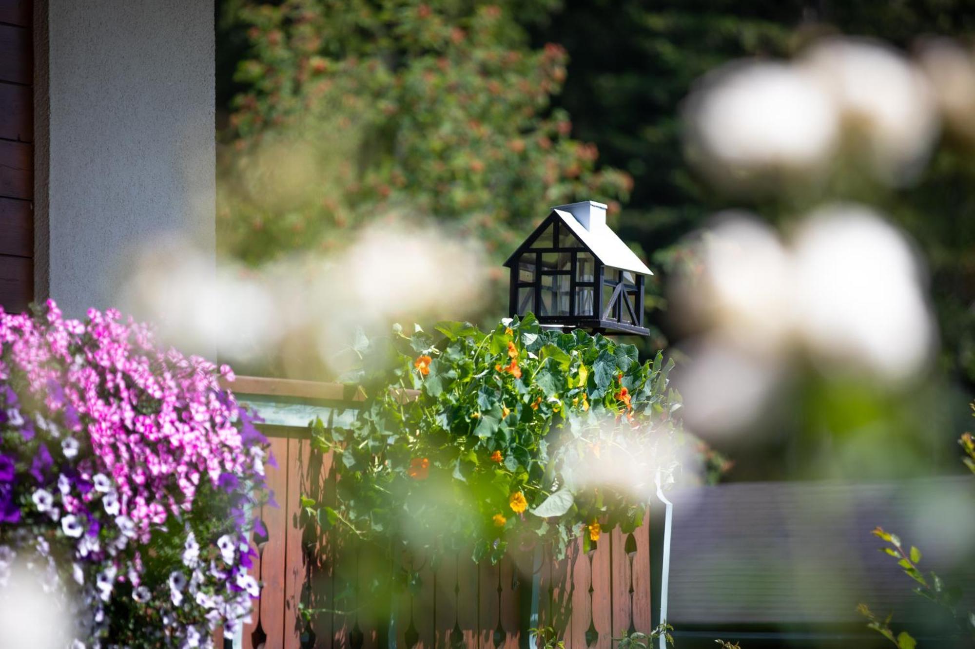 Bed and Breakfast Alpenhof Ramsau am Dachstein Exterior foto